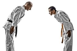 Martial Arts Toronto - Yamazakura Dojo