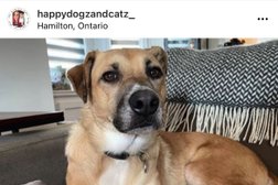Happy Dogz and Catz Animal Care